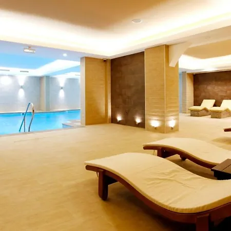 Hotel Aleksandar Palace Congress Center & 5*